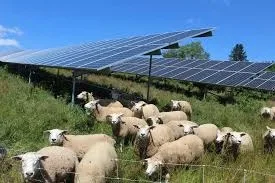 Construction Begins on Santa Teresa Solar and Storage Facility in Doña Ana County, New Mexico