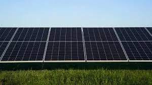 250 MW Cypress Knee Solar Project in Chicot County, Arkansas Secures PPA with Meta
